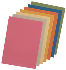 ELBA documentomslag A4, rood, 250 g/m², 100 stuks