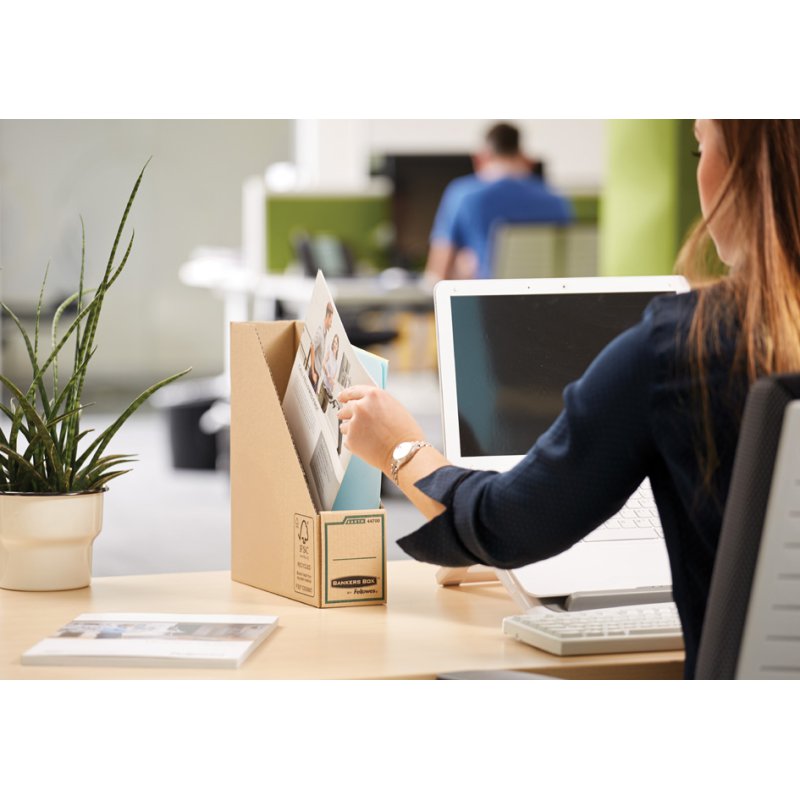 Fellowes bac de rangement Earth, 100% carton recyclé, A4, marron