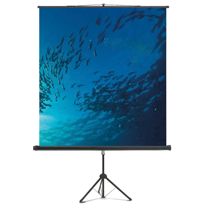 magnetoplan Écran de projection sur pied, 150×150 cm, noir, format 1:1