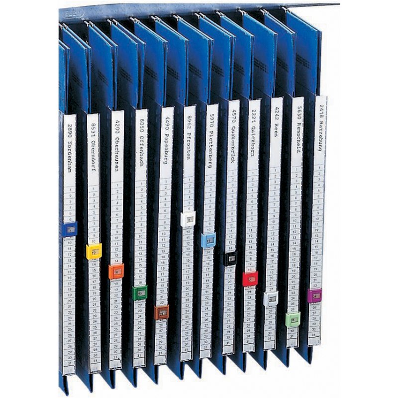 ELBA bandes de classement pour système de dossiers suspendus, blanc, 10 feuilles x 60 bandes