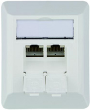 TELEGÄRTNER aansluitdoos AMJ45 Cat.6A, 2 x RJ45, parelwit, volledig afgeschermd
