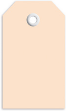 HERMA aanhanglabels 60×113 mm, bruin karton, kunststof oogje, 1000 stuks