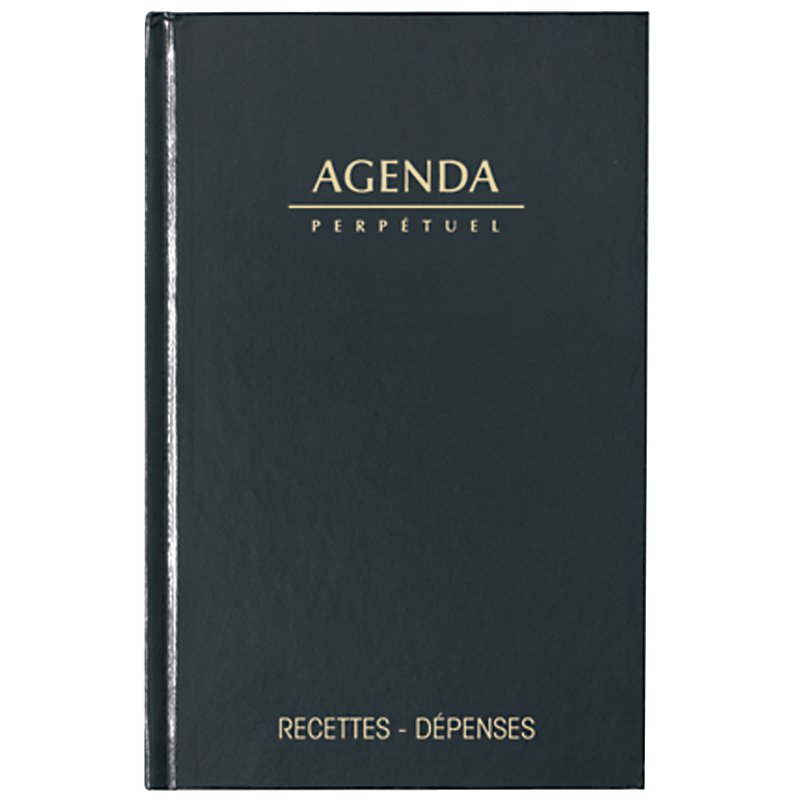 LECAS kas- en huishoudboek, zwart, 1 dag/pagina, 140×220 mm, 384 pagina's
