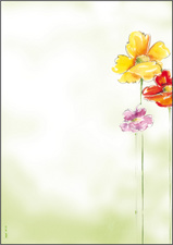 sigel designpapier A4, motief Zonnebloem, 90 g/m², 25 vel