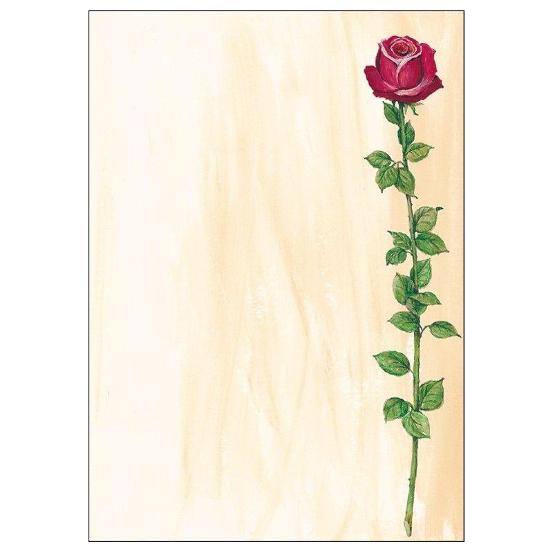Sigel papier design A4, motif White Orchid, 90 g/m², 50 feuilles