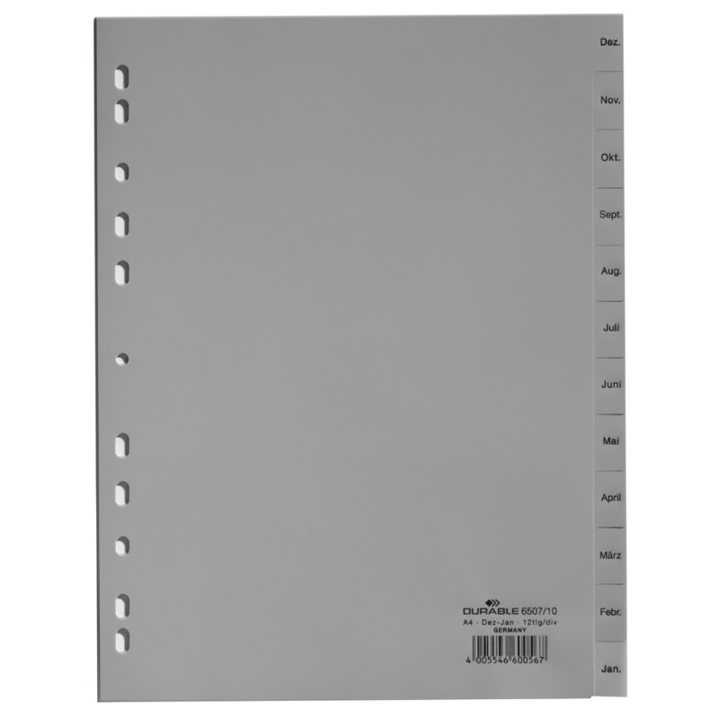 DURABLE registre mensuel A4, PP, gris, 12 parties