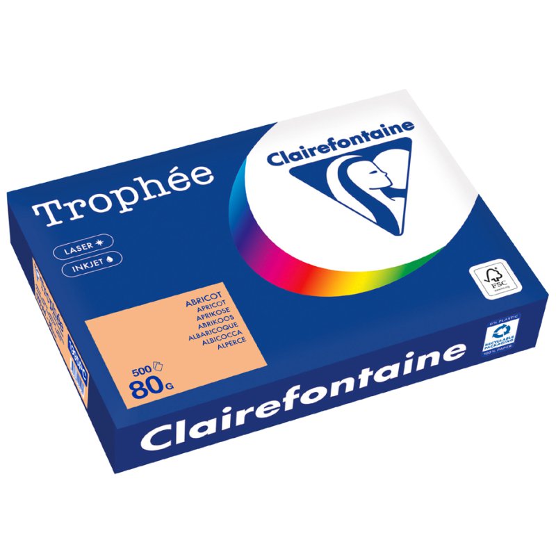 Clairefontaine papier multifonction Trophée, A4, gris acier, 500 feuilles