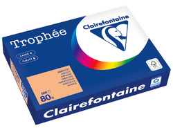 Clairefontaine multifunctioneel papier Trophée, A4, rose, 80 g/m², 500 vel
