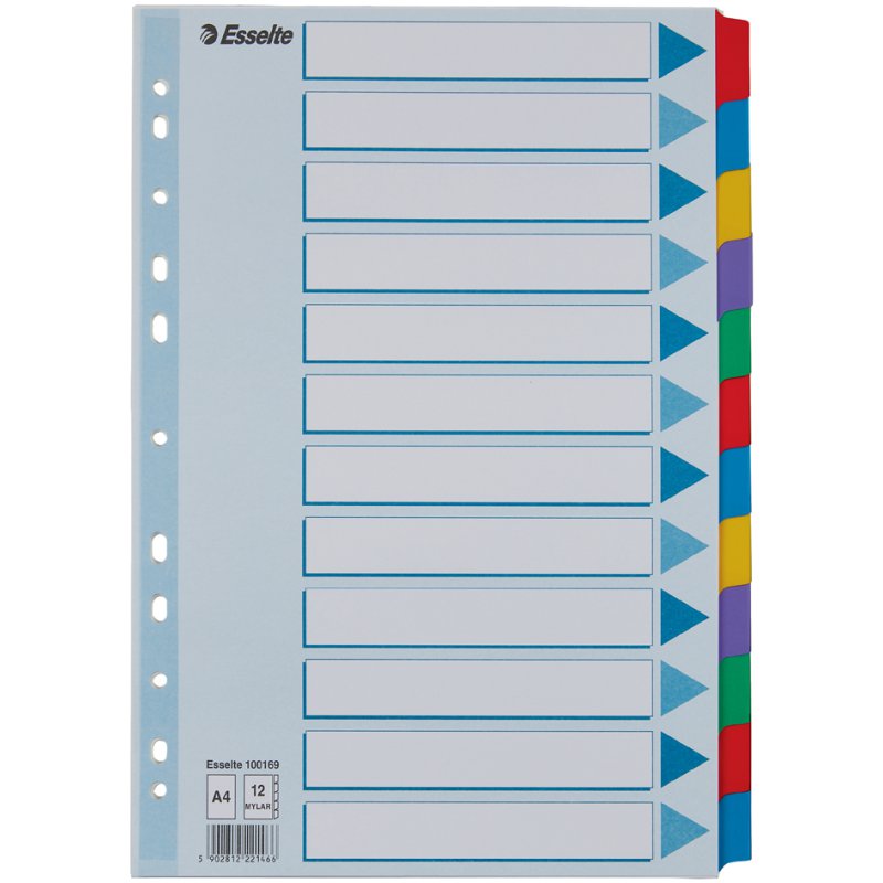Esselte intercalaires carton A4, 6 parties, multicolore, blanc