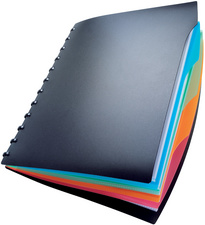 DURABLE kijkmap DURALOOK Style A4, zwart, 20 hoezen
