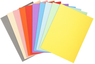 EXACOMPTA dossiermappen FOREVER 250, A4, rood, 100 stuks
