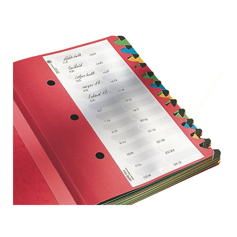 LEITZ Organiseur de Bureau Color A4, noir, 1-24/A-Z, 24 compartiments