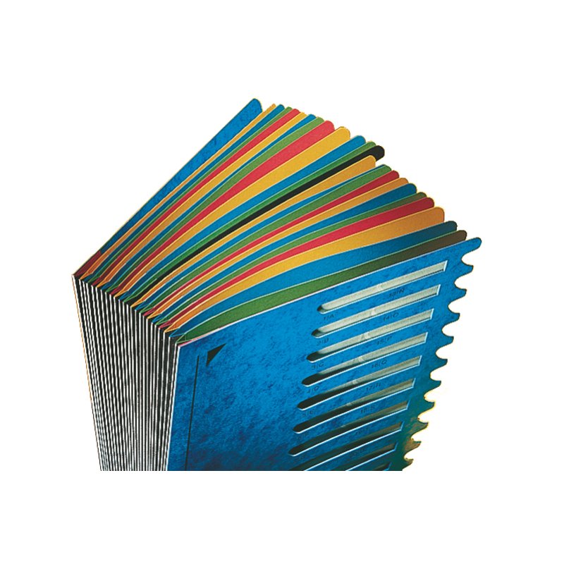 LEITZ Organiseur de Bureau Color A4, noir, 1-24/A-Z, 24 compartiments