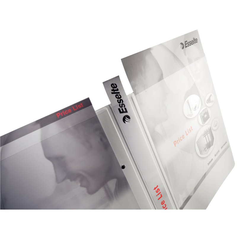 LEITZ classeur de présentation A4 extra large, blanc, 2 anneaux en D