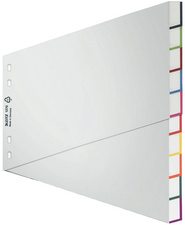 Leitz kunststof registerbladen, blanco, A4 breedformaat, schuin, 10-delig