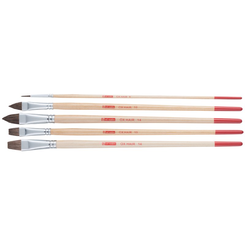 Royal Talens ArtCreation ELEMENTS brushes, ox-ear hair, set of 5 pieces