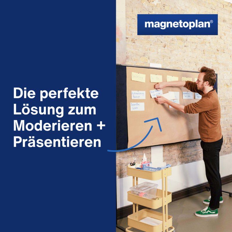 magnetoplan Cartes de modération rectangulaires, 200 × 100 mm, assorties colorées, 250 pièces