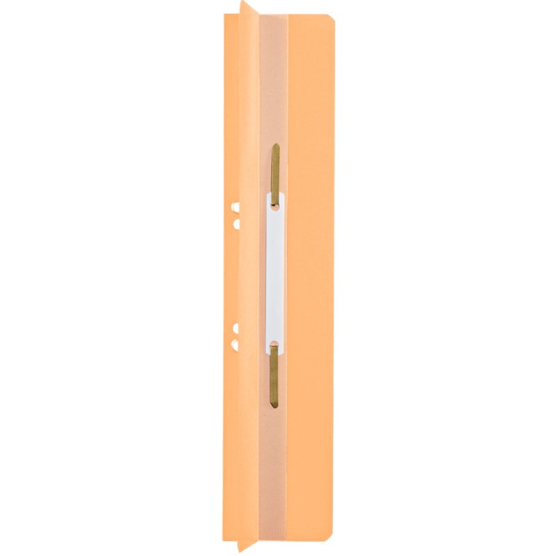 LEITZ dos de reliure Manila carton, 65×305 mm, chamois, 25 pièces