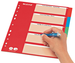 LEITZ kartonnen tabbladen blanco A4, 5-delig, meerkleurig