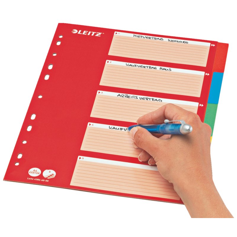 LEITZ cardboard tab dividers blank A4, 5-part, multicoloured