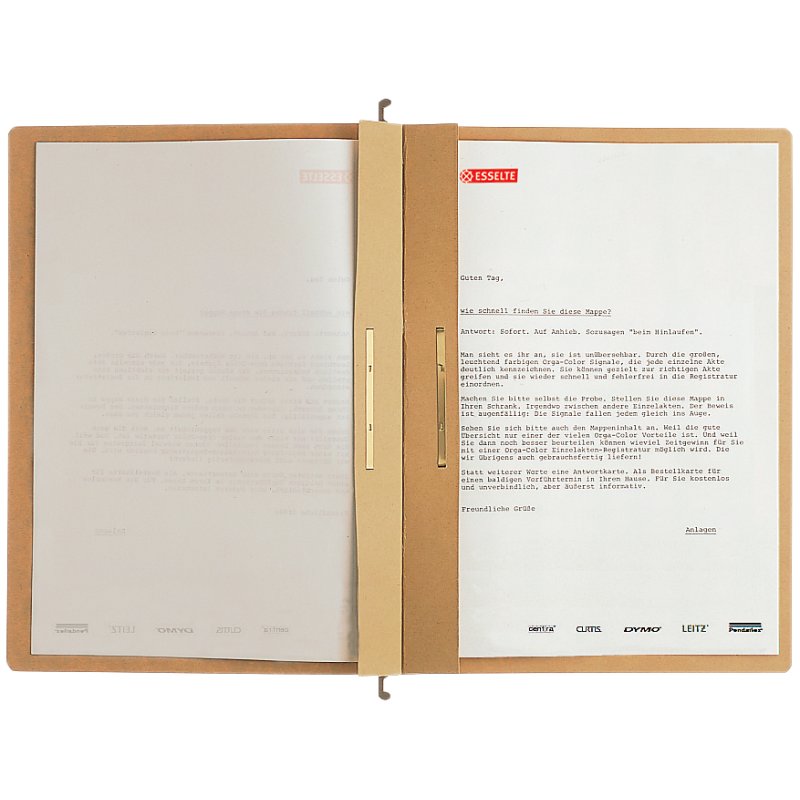LEITZ ALPHA dossiers suspendus doubles, A4, carton kraft 250 g/m², 25 pièces
