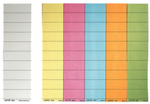 Leitz naamplaatjes, 60 × 21 mm, blauw, 100 stuks