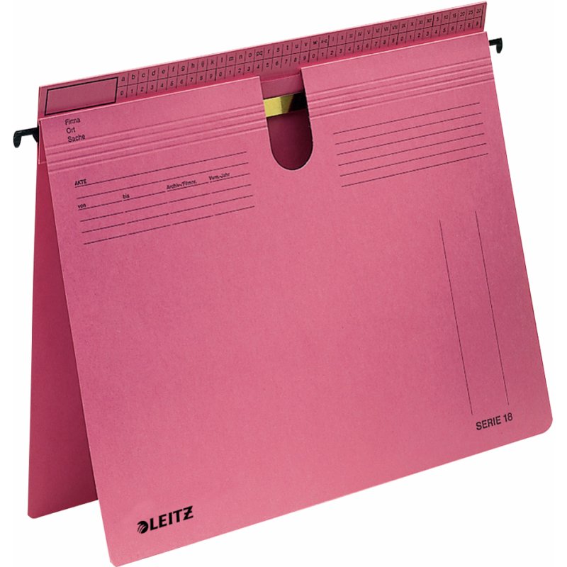 Leitz Série 18 dossiers suspendus, gris, 250 g/m², 50 pièces