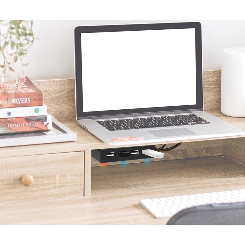 LogiLink Concentrateur USB 2.0, 4 ports, montage murale, 480 Mbit/s