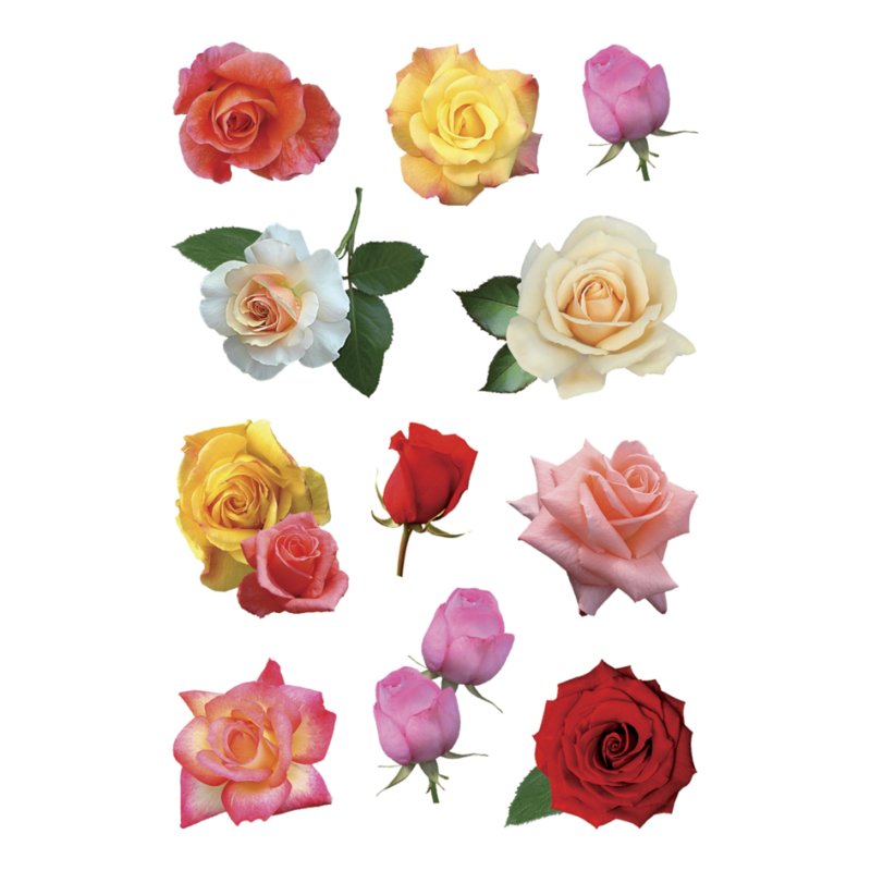 HERMA gommettes Décoration fleurs, auto-adhésives, 3 feuilles à 6 pièces