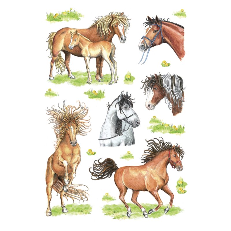 HERMA stickers décoration chevaux dessinés, auto-adhésifs, papier, 3 feuilles à 6 stickers