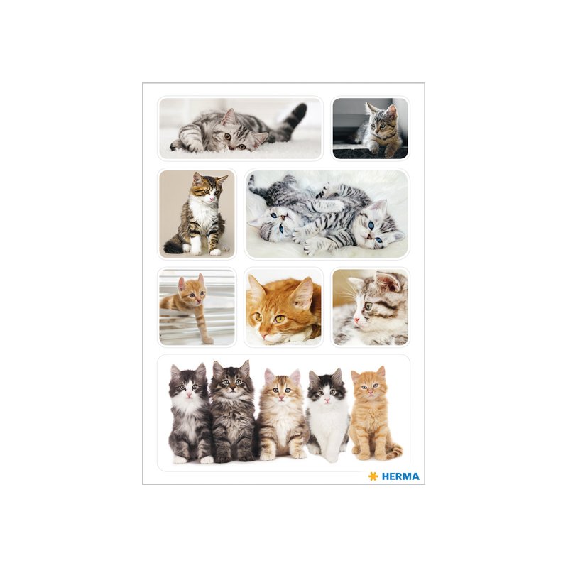 HERMA feuilles d'autocollants Chatons, papier auto-adhésif, imprimé coloré, 3 feuilles à 8 stickers
