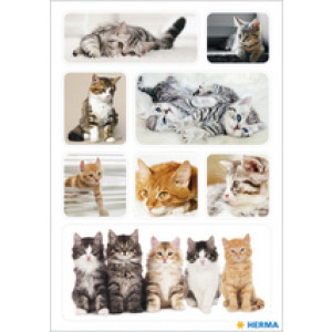 HERMA stickers Kattenfoto's, zelfklevend, papier, 3 vel à 10 stuks