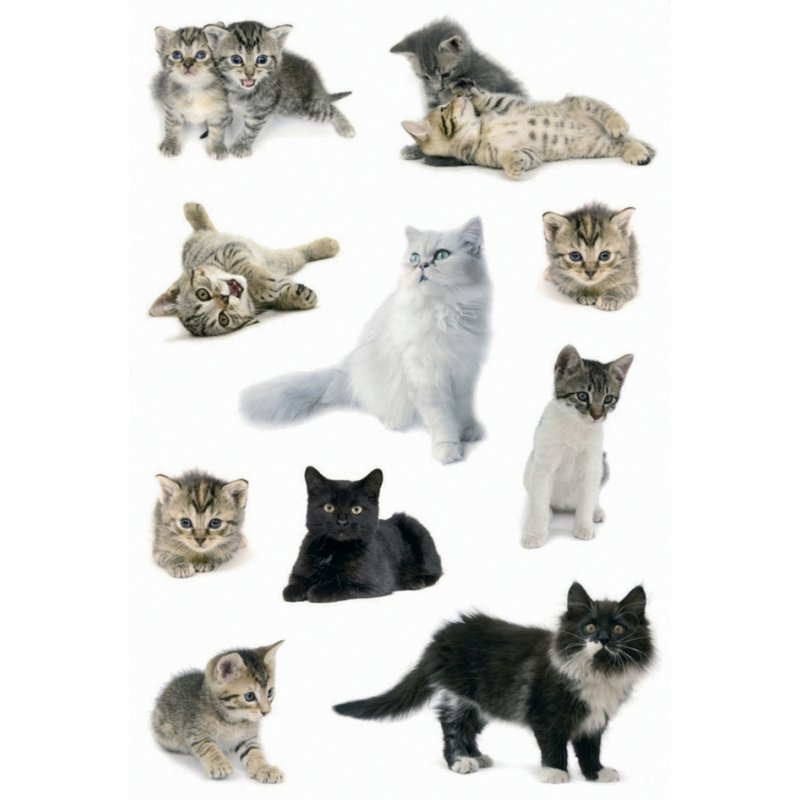 HERMA feuilles d'autocollants Chatons, papier auto-adhésif, imprimé coloré, 3 feuilles à 8 stickers