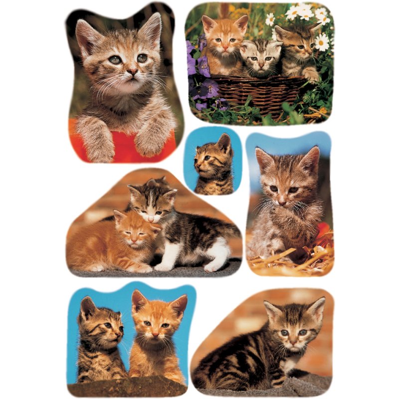 HERMA feuilles d'autocollants Chatons, papier auto-adhésif, imprimé coloré, 3 feuilles à 8 stickers