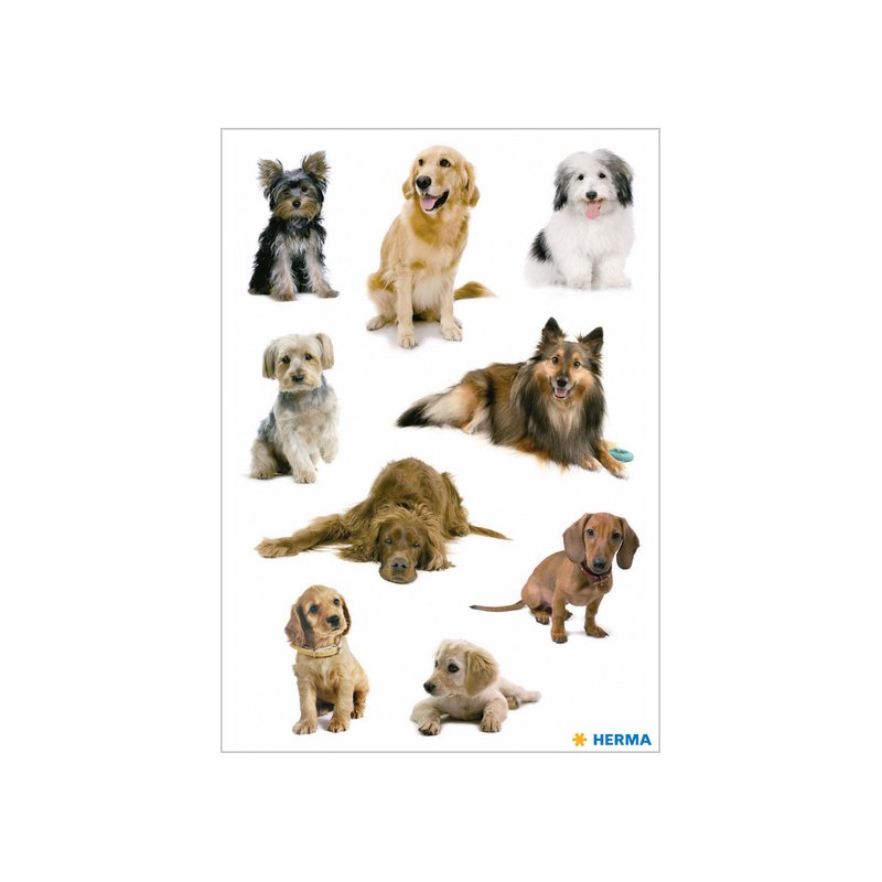 HERMA feuilles d'autocollants Photos de chiens, papier adhésif, impression couleur, 3 feuilles de 9 stickers