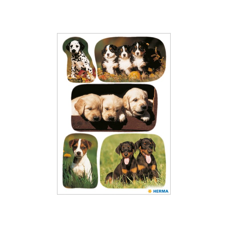 HERMA feuilles d'autocollants Photos de chiens, papier adhésif, impression couleur, 3 feuilles de 9 stickers