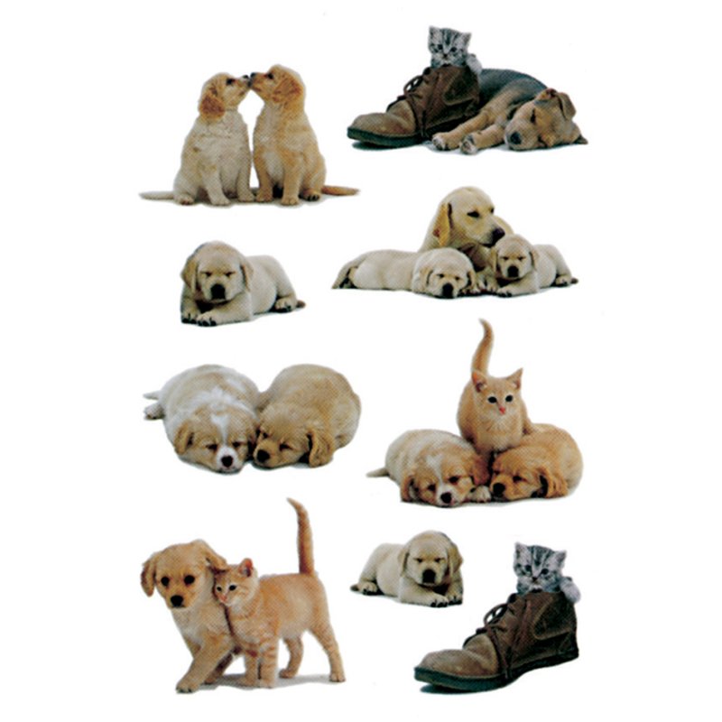 HERMA feuilles d'autocollants Photos de chiens, papier adhésif, impression couleur, 3 feuilles de 9 stickers