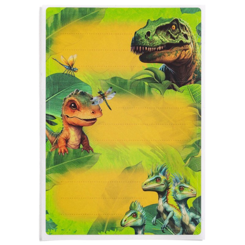 HERMA Prinses schoolboek-etiketten, 76×35 mm, 6 stuks