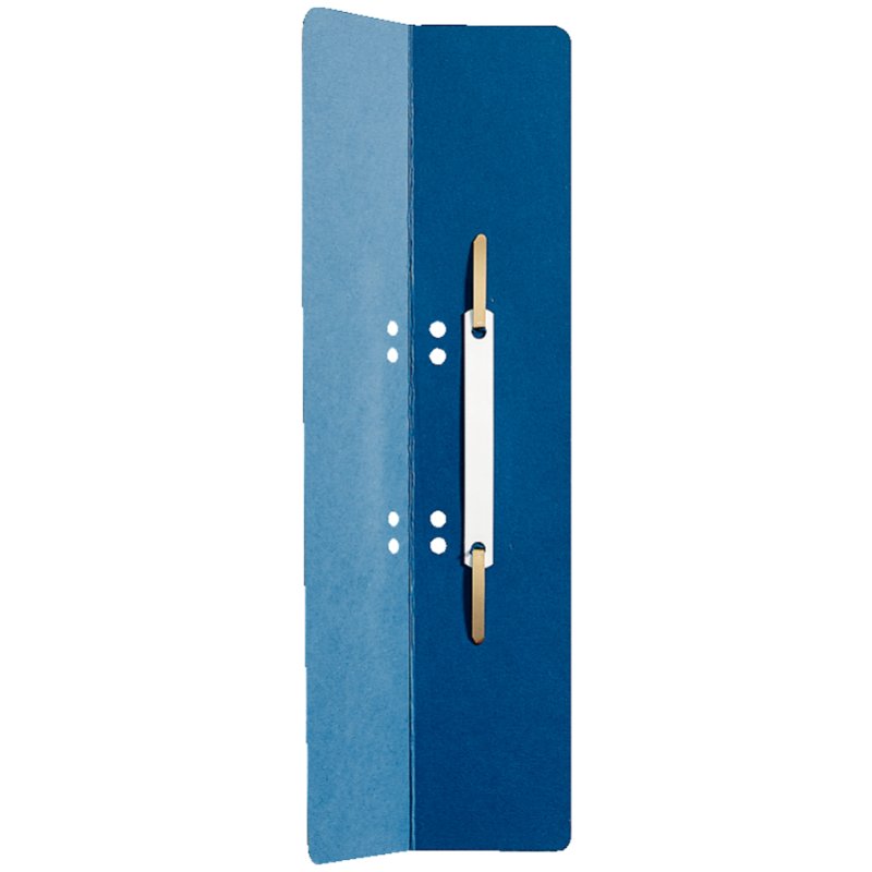 LEITZ étiquettes de classeur, 60 × 305 mm, carton manila, chamois, 25 pièces