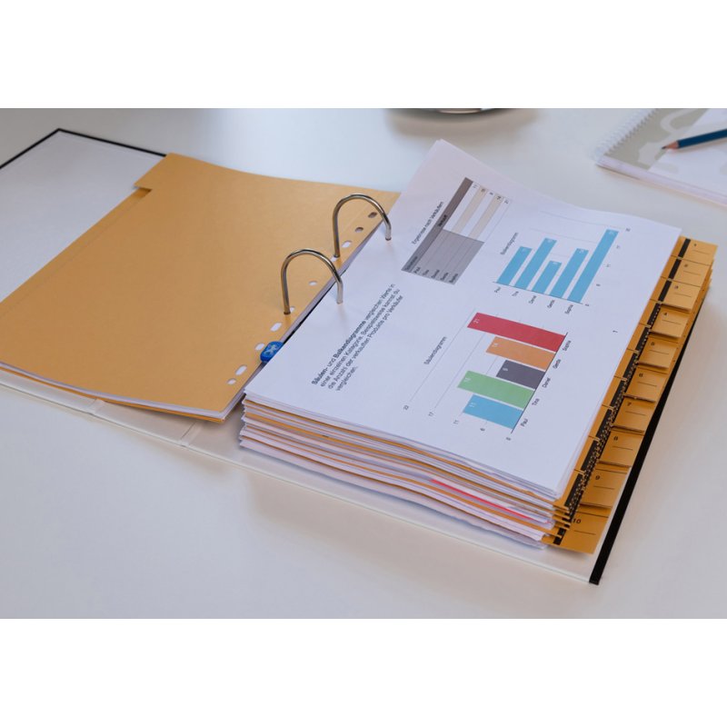 Oxford perforated divider sheets A4 oversized, orange, 100 sheets