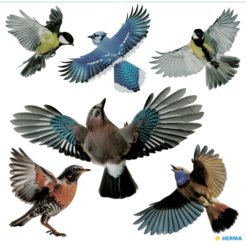 HERMA étiquettes d'avertissement oiseaux, réutilisables, colorées, 300×300 mm