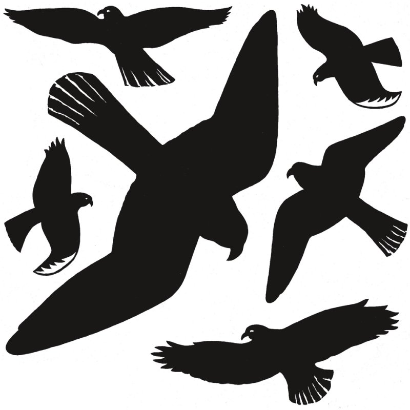 HERMA étiquettes d'avertissement oiseaux, réutilisables, colorées, 300×300 mm