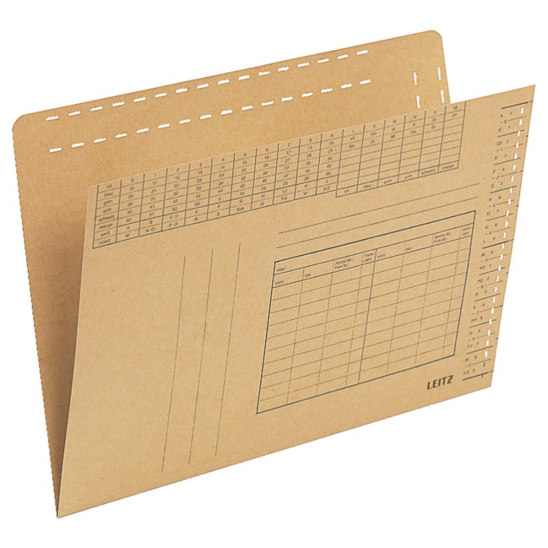 LEITZ dossier suspendu Org.Dr A4, carton kraft 250 g/m², 100 pièces