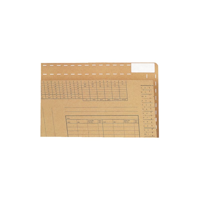 LEITZ dossier suspendu Org.Dr A4, carton kraft 250 g/m², 100 pièces