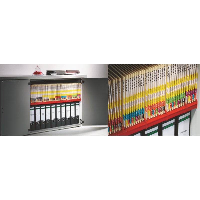 LEITZ collecteur de documents debout Standard, gris, 97×336×156 mm, 20 pièces