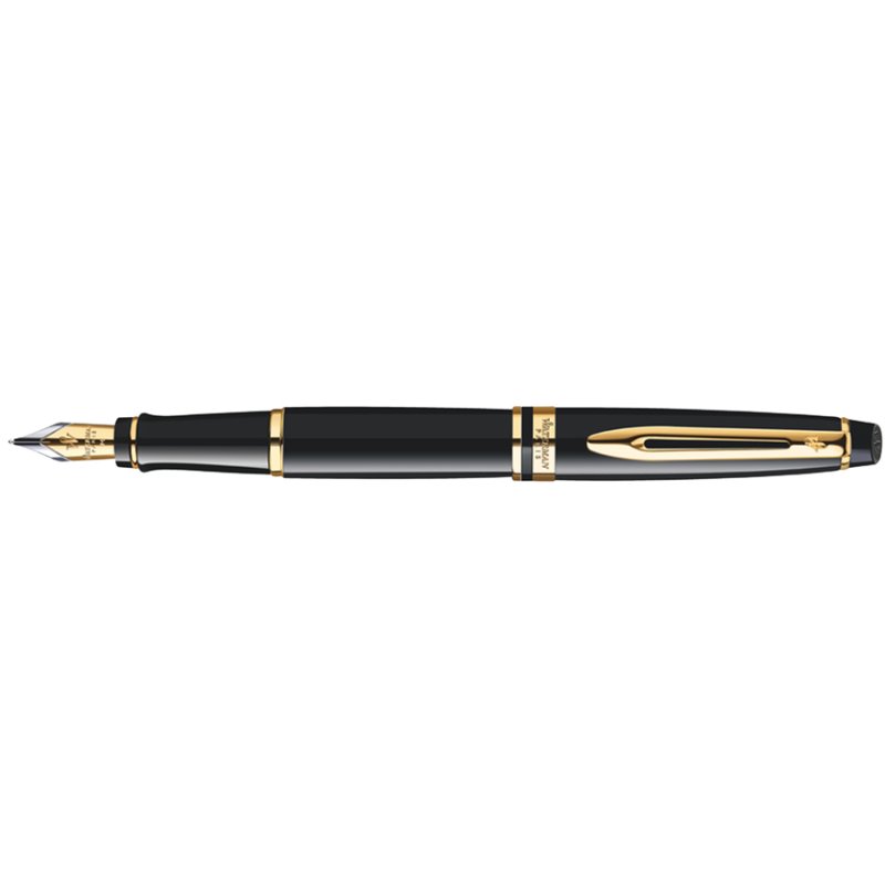 WATERMAN Expert stylo plume, noir mat, M