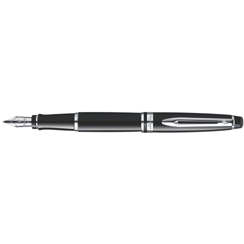 WATERMAN Expert stylo plume, noir mat, M