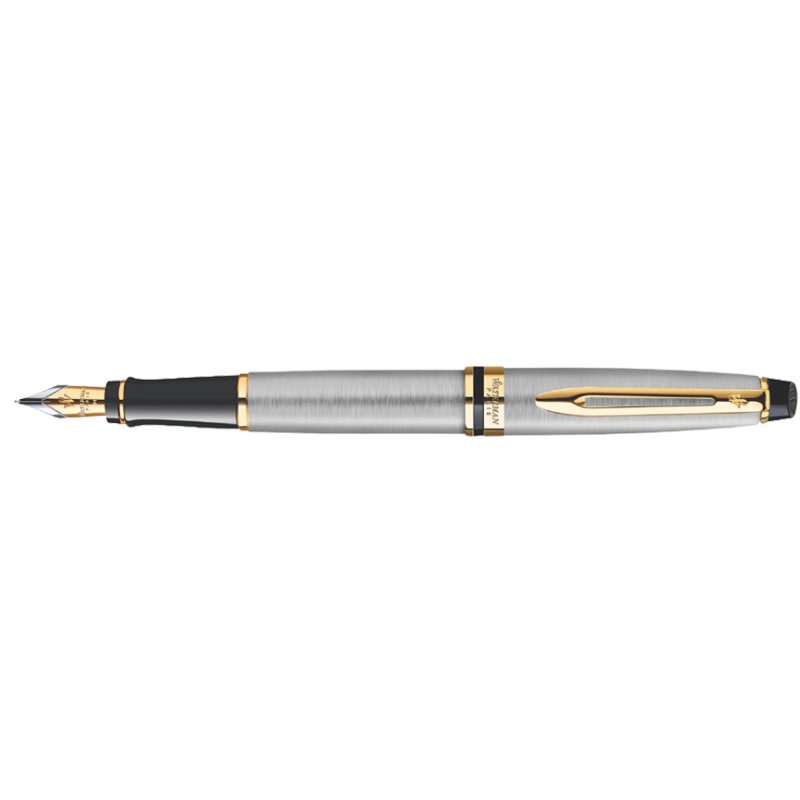 WATERMAN Expert stylo plume, noir mat, M
