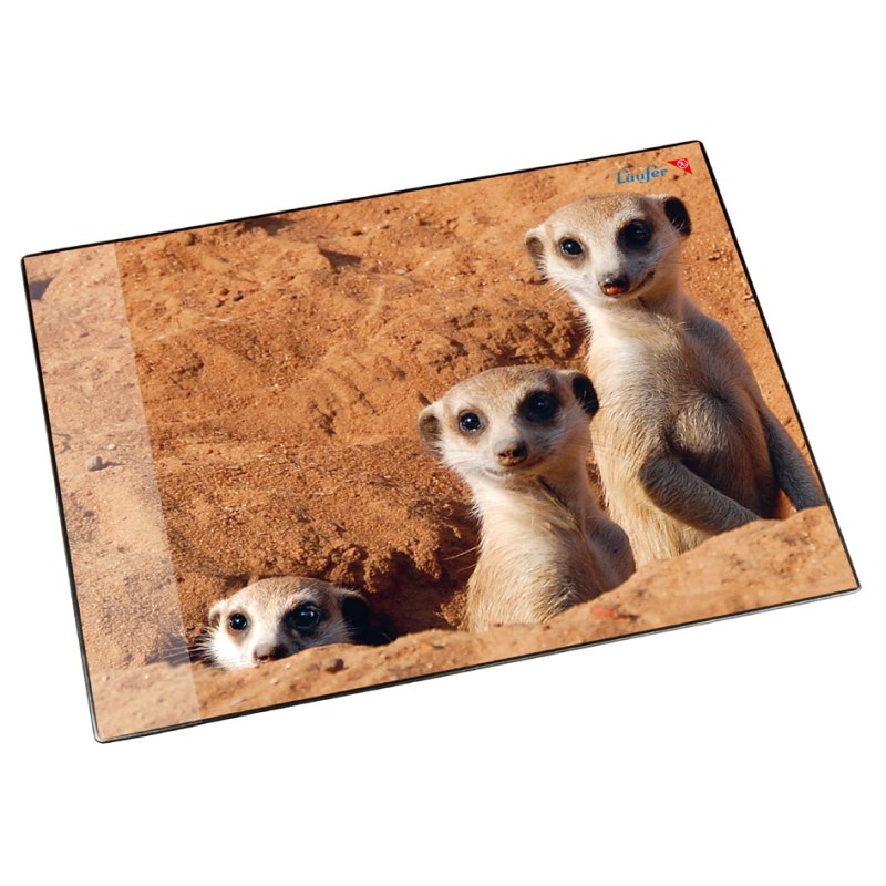 Läufer Sous-main queue de rat, 40×53 cm, antidérapant