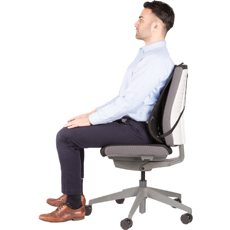 Fellowes Professional Series back support, mesh fabric, black, 44×20×52 cm